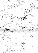 Plan: Langwis - Neuhus