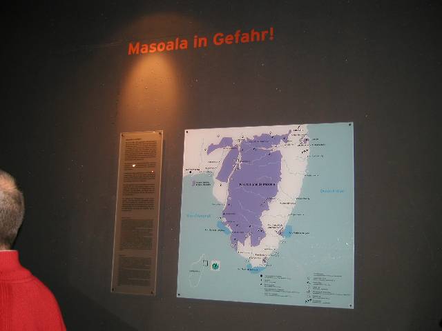 20050917_nvs_masoala_11.jpg