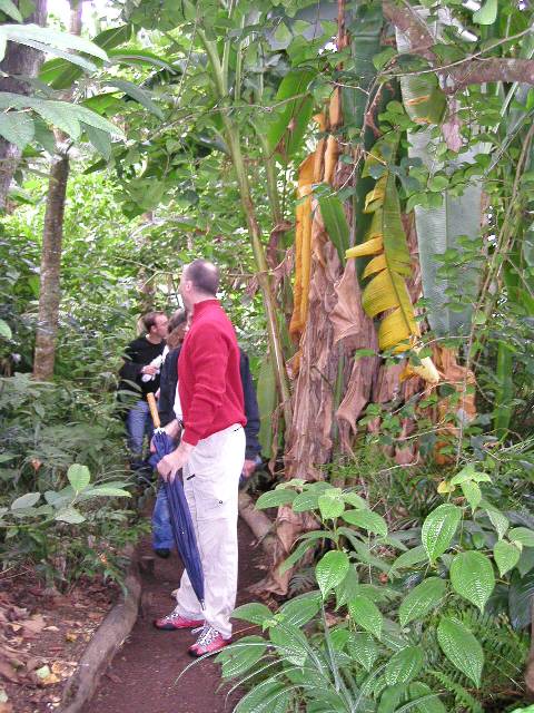 20050917_nvs_masoala_27.jpg