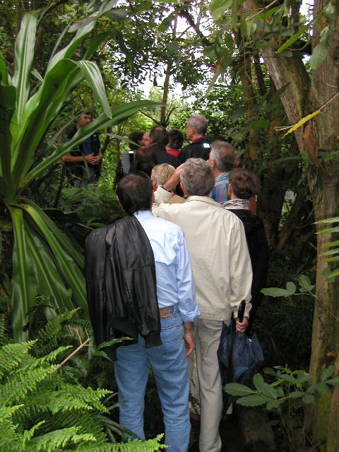 20050917_nvs_masoala_28.jpg