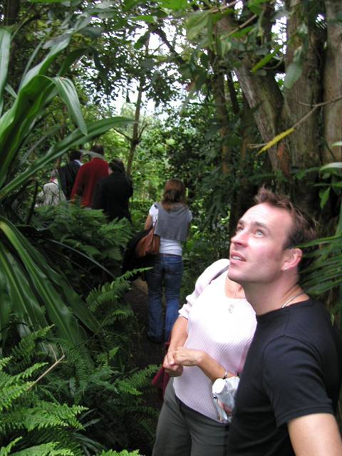20050917_nvs_masoala_31.jpg