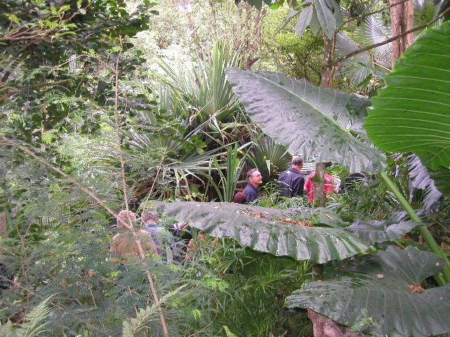 20050917_nvs_masoala_32.jpg