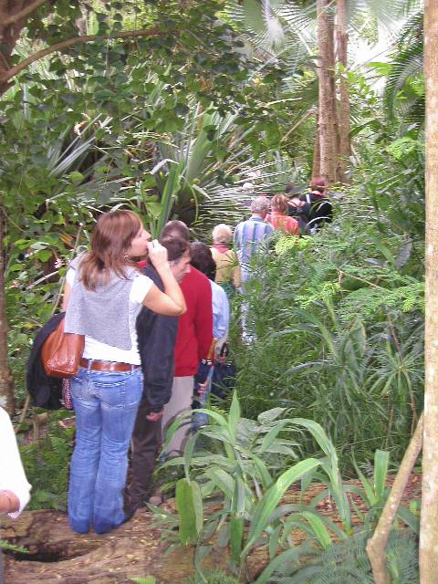 20050917_nvs_masoala_33.jpg