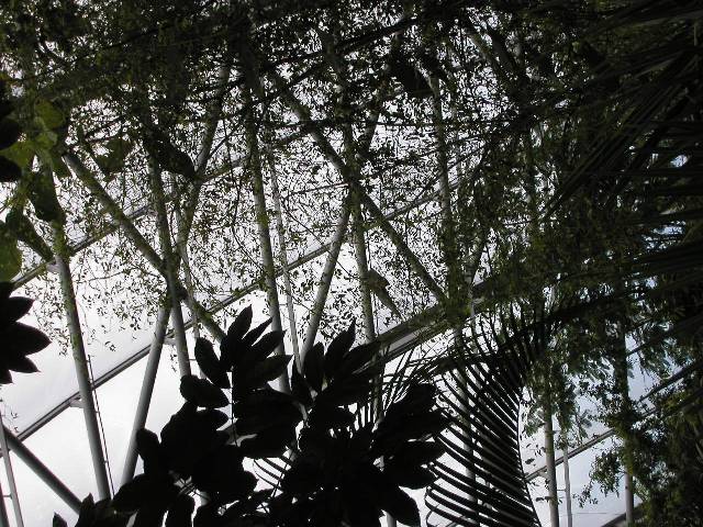 20050917_nvs_masoala_34.jpg