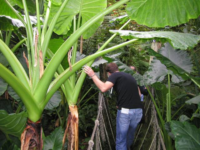 20050917_nvs_masoala_38.jpg