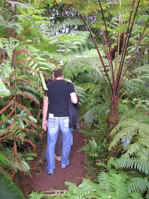 20050917_nvs_masoala_39.jpg