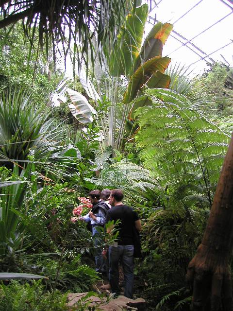 20050917_nvs_masoala_41.jpg