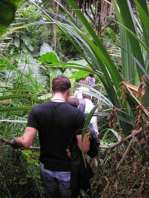 20050917_nvs_masoala_45.jpg