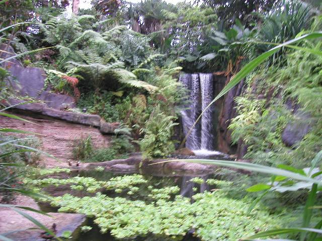 20050917_nvs_masoala_47.jpg