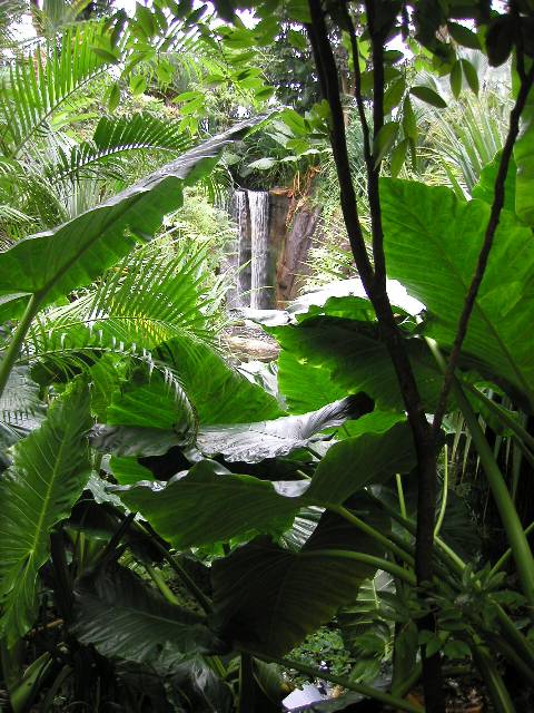 20050917_nvs_masoala_49.jpg