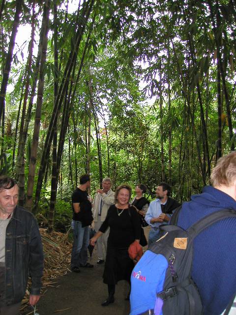 20050917_nvs_masoala_62.jpg