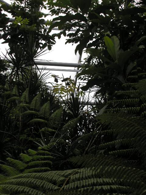 20050917_nvs_masoala_70.jpg