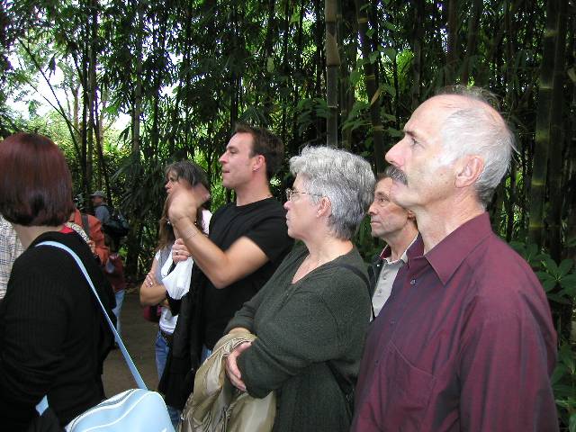 20050917_nvs_masoala_89.jpg