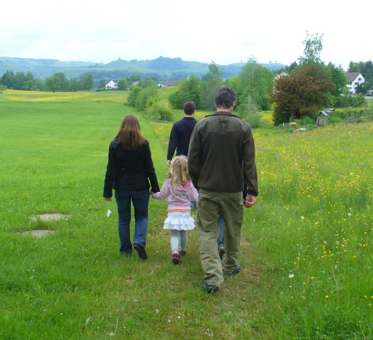 20080517_130130_nvs_wildbienen.jpg
