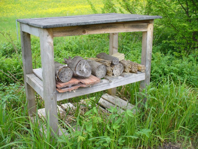 20080517_130341_nvs_wildbienen.jpg