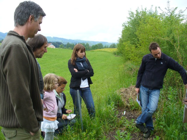 20080517_130442_nvs_wildbienen.jpg
