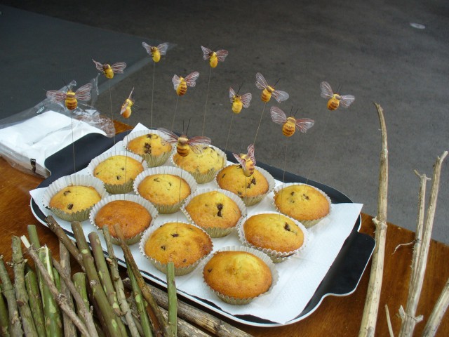 20080517_132240_nvs_wildbienen.jpg