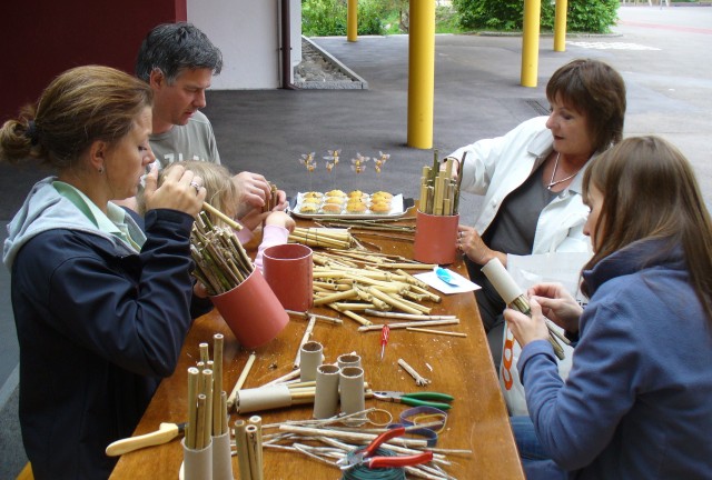 20080517_133517_nvs_wildbienen.jpg