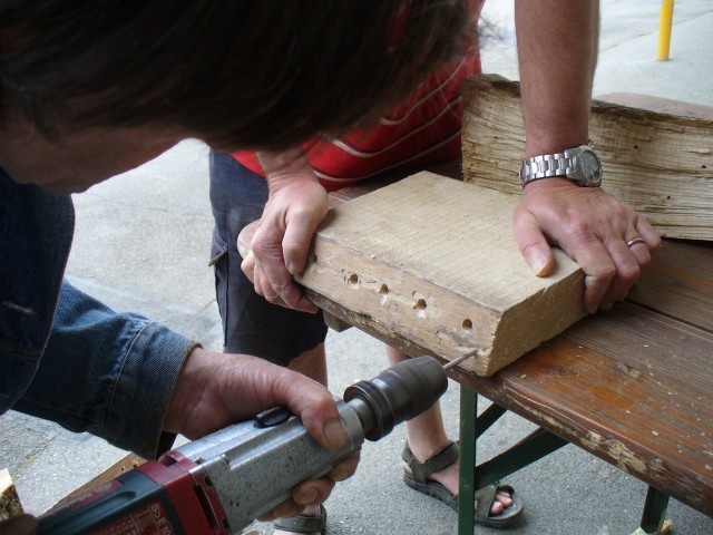 20080517_140346_nvs_wildbienen.jpg