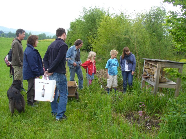 20080517_143608_nvs_wildbienen.jpg