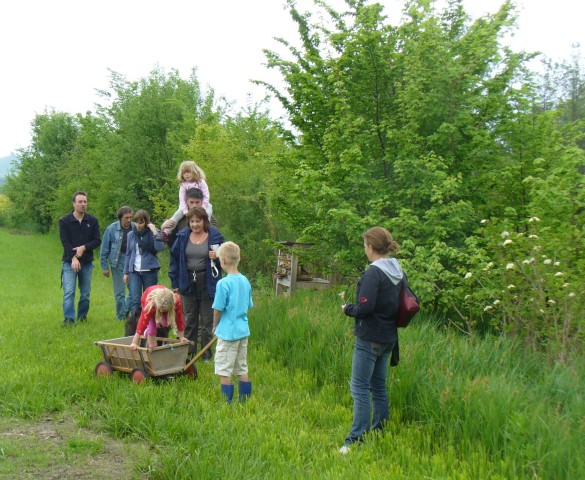 20080517_144028_nvs_wildbienen.jpg