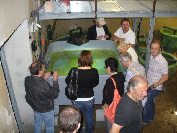 20090628_0100.jpg
