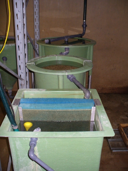 20090628_0140.jpg