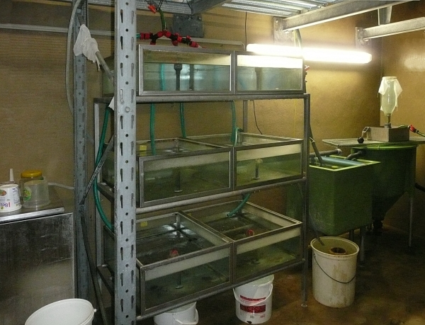 20090628_0150.jpg