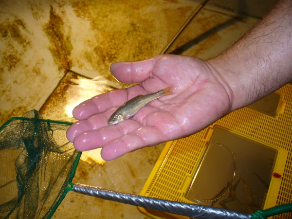 20090628_0321.jpg
