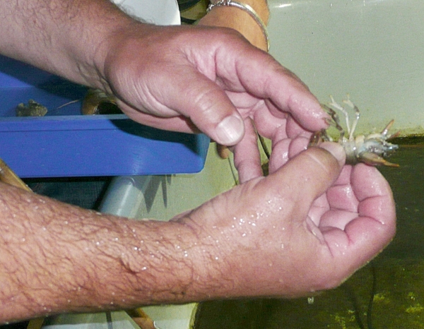 20090628_0441.jpg