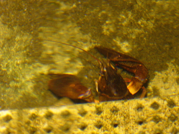 20090628_0520.jpg