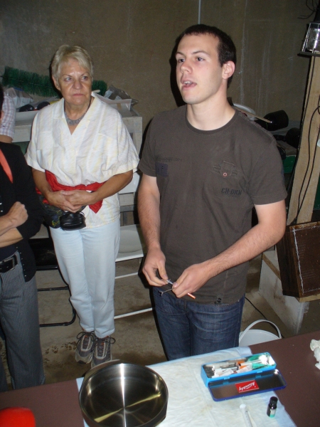 20090628_0800.jpg