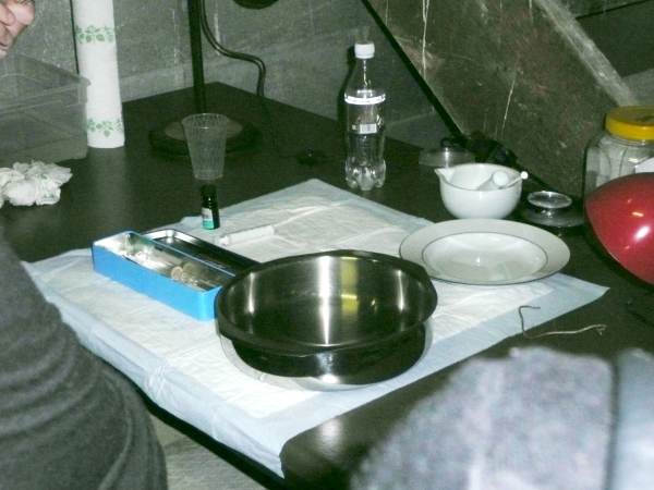 20090628_0820.jpg