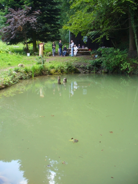 20090628_1001.jpg