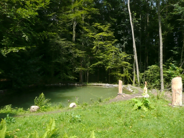 20090628_1002.jpg