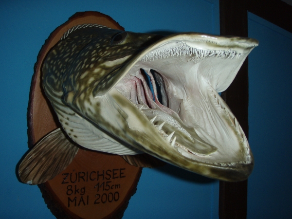 20090628_1020.jpg