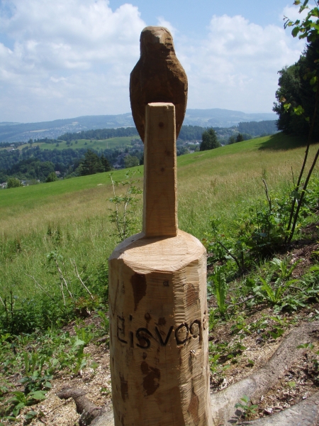 20090628_1240.jpg