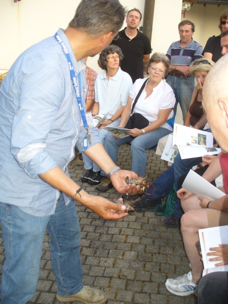 20100709_195622_nvs_krebssafari.jpg
