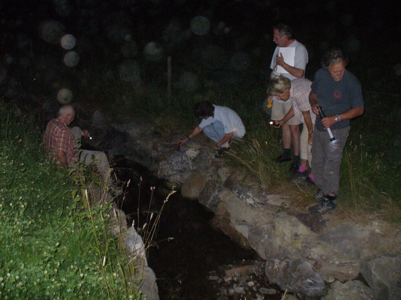 20100709_215755_nvs_krebssafari.jpg
