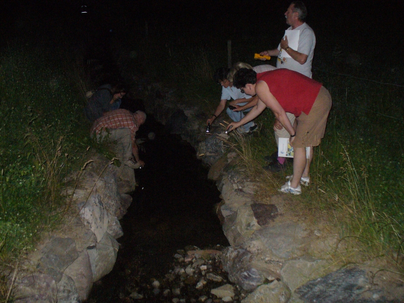 20100709_215821_nvs_krebssafari.jpg