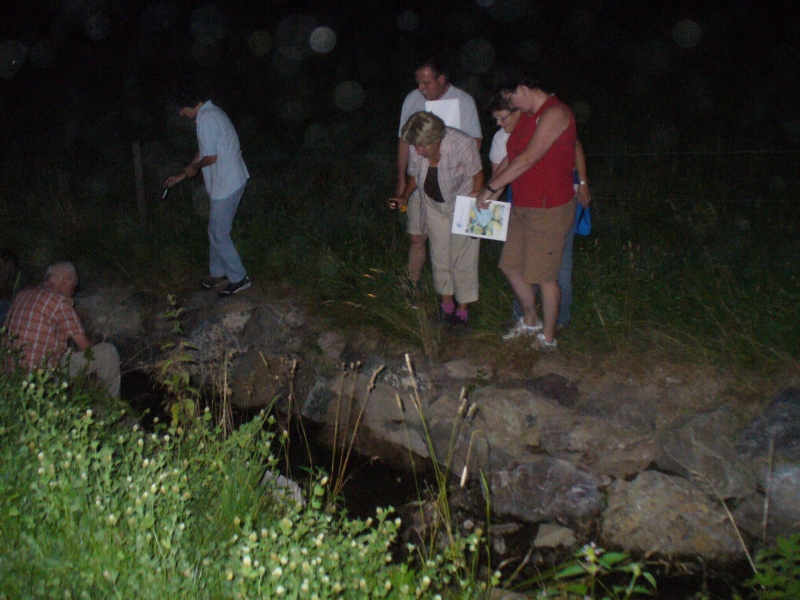 20100709_215842_nvs_krebssafari.jpg