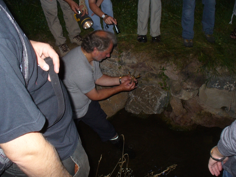 20100709_220639_nvs_krebssafari.jpg
