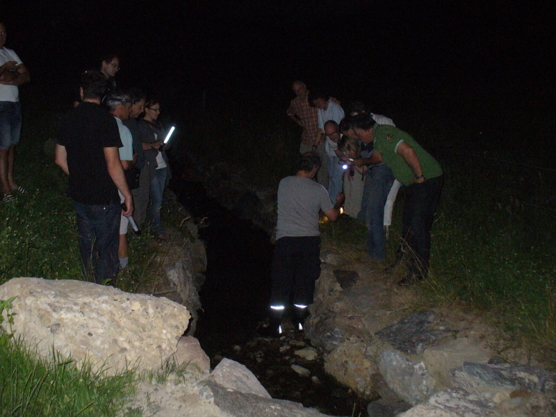 20100709_220718_nvs_krebssafari.jpg