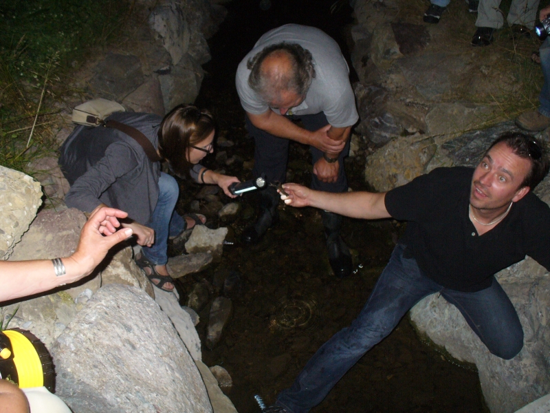 20100709_221136_nvs_krebssafari.jpg