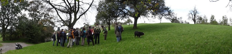 06.Unterschlüpfe, Obstgarten.jpg