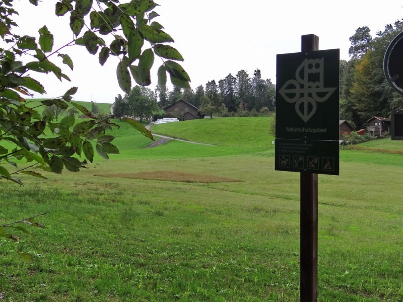49.Naturschutzgebiet, Geeristeg.jpg